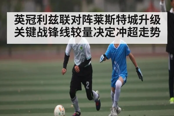 英冠利兹联对阵莱斯特城升级关键战锋线较量决定冲超走势（kaiyun）
